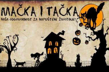 MAČKA I TAČKA... Budimo humani i pomozimo napuštenim životinjama!