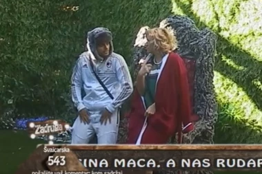 Miki pokušao GOLUBOVIĆKU DA UVUČE U SEKS-AFERU, da li mu je uspelo