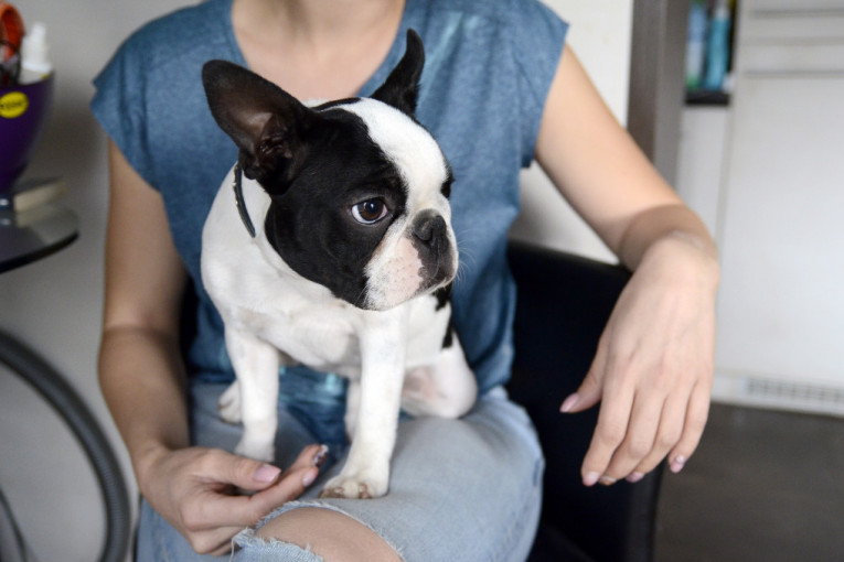 Ank, zaspi gde stigne i nema šanse da ga probudite