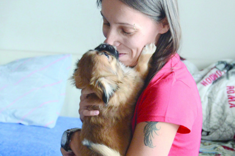 Beba je spremna za udomljavanje, za sve informacije šaljite poruke na FB profil Marije Zec