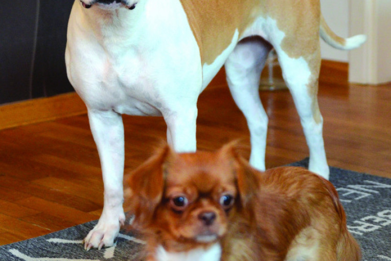 Stela i Mama dežuraju da ostali ne naprave haos