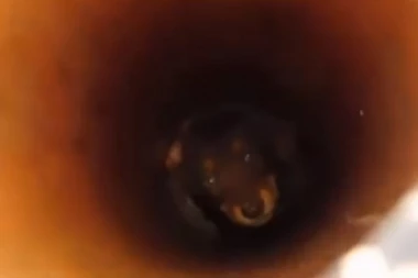 POTREBNA POMOĆ ZA SPASAVANJE ŠTENETA!