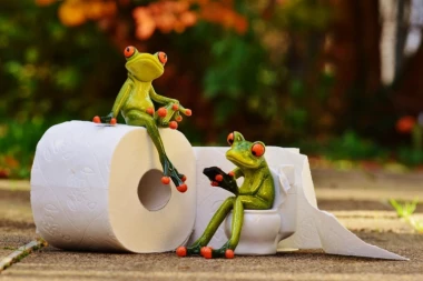 TOALET-PAPIR NIJE ZA GUZU: Saznajte zašto ne treba da se brišete njim