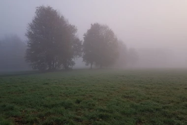 TMURNA NEDELJA: Temperatura u plusu uprkos magli!