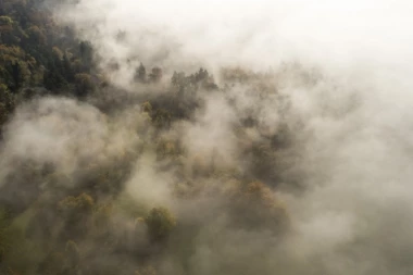 ČUVAJTE SE DEPRESIJE, UBI NAS NOVEMBARSKO SIVILO!