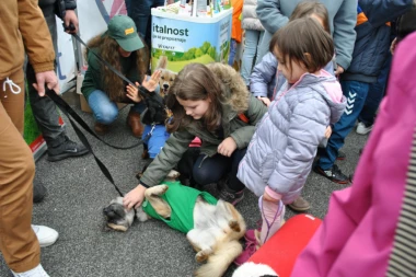 HUMANOST I ZABAVA MEĐU TEZGAMA: Održana Dečija piajca u Mirjevu