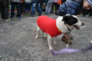 SAZNAJTE: Da li je vašim kucama neophodna zimska garderoba