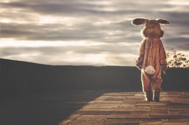 Poljska vlada građanima: RAZMNOŽAVAJTE SE K'O ZEČEVI!