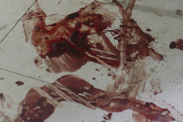 BRUTALNO UBISTVO! Albanka zaklala devojčicu (7) naočigled roditelja