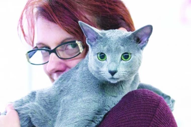 RUSKA PLAVA MAČKA IZ SRBIJE: Naš Mile najlepši na svetu