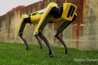 (VIDEO) LJUDI SU ZGROŽENI: Napredni robotski pas deluje zastrašujuće!