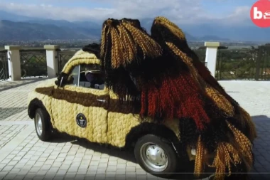 (VIDEO) Pogledajte - ovaj fića je prekriven ljudskom kosom