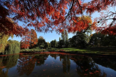 SNS: Ako je nešto nezakonito, zašto DS ne podnese prijavu?