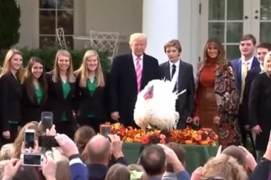 (VIDEO) TRAMP POMILOVAO ĆURKU