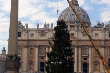 BOŽIĆNA JELKA: Preživela udar groma pa preseljena u Vatikan
