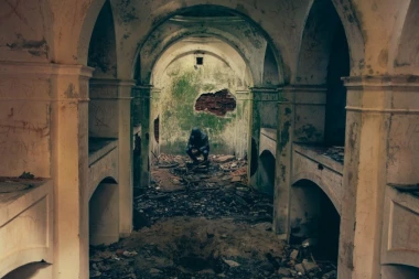 TINEJDŽERKA OSUĐENA ZA PLANIRANJE TERORIZMA