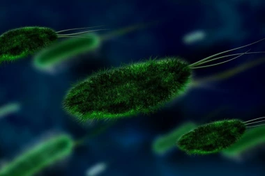 POJAVILA SE NOVA SUPERBAKTERIJA: Prenosi se polnim putem, ovo su simptomi