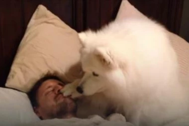 (VIDEO) DOBRO JUTRO: Slađe buđenje sigurno niste videli!