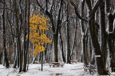 NE IDITE NIGDE: Danas ćemo se smrznuti!