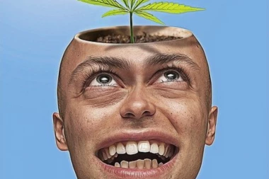VELIKO ISTRAŽIVANJE: Marihuana nije opasna po mozak