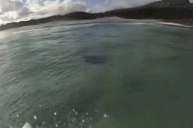 (VIDEO) UŽAS IZ OKEANA: SURFER SNIMAO DOK GA JE NAPADALA NEMAN!