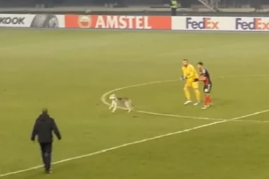 (VIDEO) NEZVANI GOST NA TERENU: Pas prekinuo meč u Skoplju