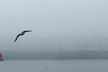 EKSPLOZIJA U BALTIČKOM MORU: Zapalio se trajekt sa više od 300 putnika