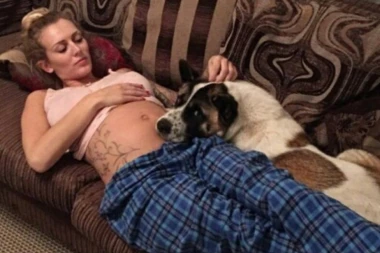 Pas spasao gazdaricu na IVICI SMRTI!