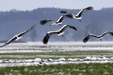 BEZ SNEGA NA SVETOG NIKOLU: Evo kakvo nas vreme očekuje pred Novu godinu
