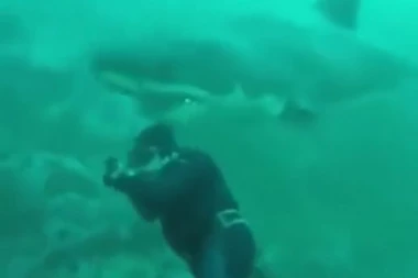 Da li je velika bela ajkula ODGRIZLA GLAVU RONIOCU?!