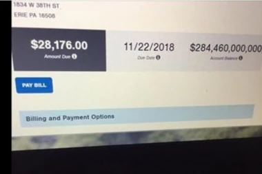 KAKO BISTE VI REAGOVALI?! Dobila račun za struju od 284 milijarde dolara