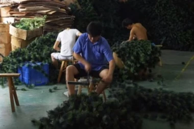 (VIDEO) ONI PRAVE UKRASE ZA JELKU, a žive u najgoroj bedi!