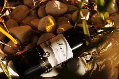 PROGLAŠENA NAJBOLJA VINA 2017: Napravite svoj izbor na vreme