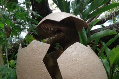 Pronađen trag dinosaurusa na Antarktiku i još jedan neverovatan dokaz