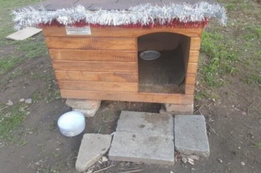 BRAVO ZA ČUKARIČKU PADINU! KOMŠIJE NAPRAVILE KUĆICU ZA PSE LUTALICE