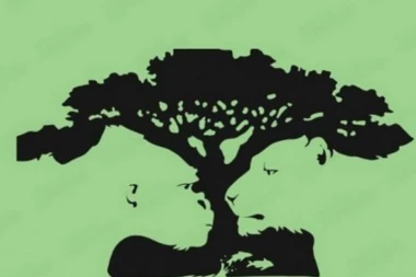 POGLEDAJTE DOBRO OVU SLIKU: Ono što prvo vidite, određuje vaš karakter