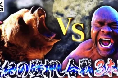 (VIDEO) Ovo ni u video-igrici ne bi bilo moguće: MEDVED POBEDIO MMA BORCA!