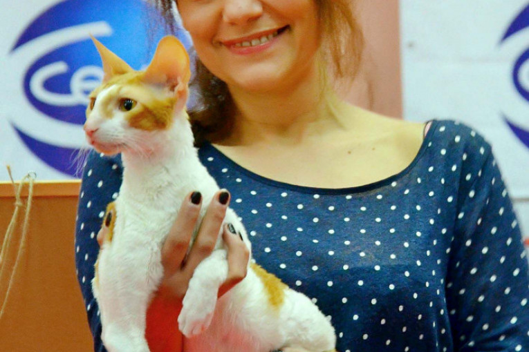 Sudija Svetlana Lalović, Srbija