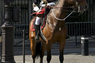Makron poklonio Đinpingu konja elitne Republikanske garde