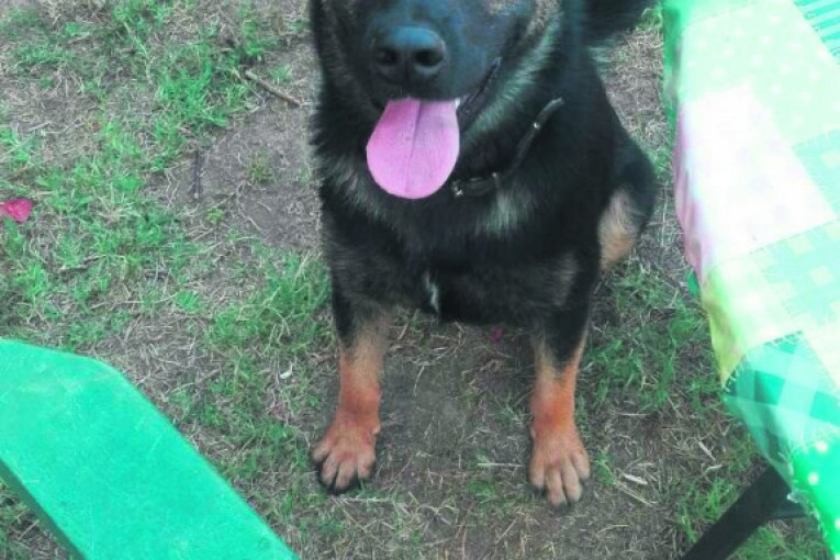 Ćao, ja sam Doni i čekam svoj slatkiš