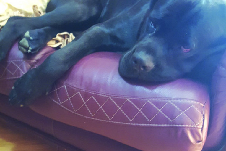 Zdravo, narode, ja sam Asteriks