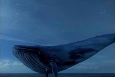 NOVA ŽRTVA "PLAVOG KITA": Ukrajinka (12) se OBESILA u svojoj kući!