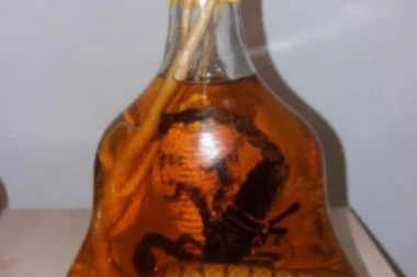 ZMIJE OTROVNICE U ŽESTOKOM PIĆU: Carinici zaplenili neobičan paket