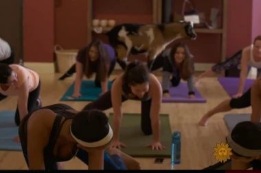 (VIDEO) JOGA SA KOZAMA JE NOVI HIT U SAD