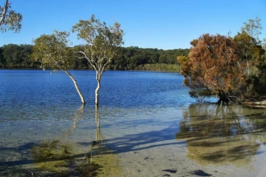 NAJOPASNIJU PLAŽU NA SVETU nećete ni poželeti da posetite