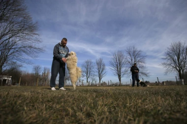 Zatvorenici u Zrenjaninu pomažu napuštenim psima