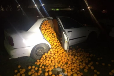 KUDA IDE OVAJ SVET? Momci ukrali ČETIRI TONE NARANDŽI - a slagali da su ih našli pored puta!