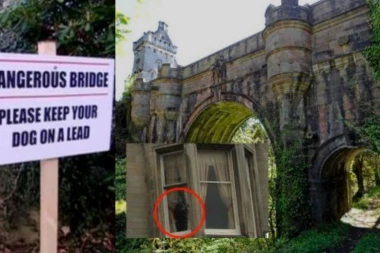 Neverovatna misterija: Ovde su PSI IZVRŠAVALI SAMOUBISTVA