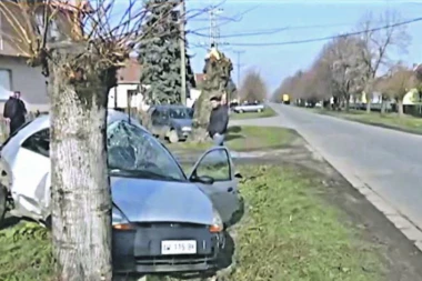 Braća se zakucala u drvo, MLAĐI POGINUO!