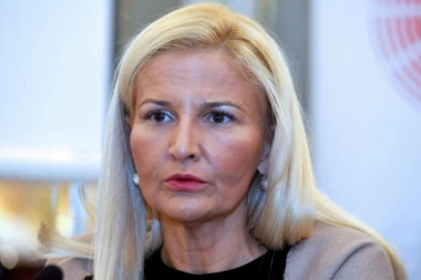 Vlada Tanju Miščević razrešila dužnosti